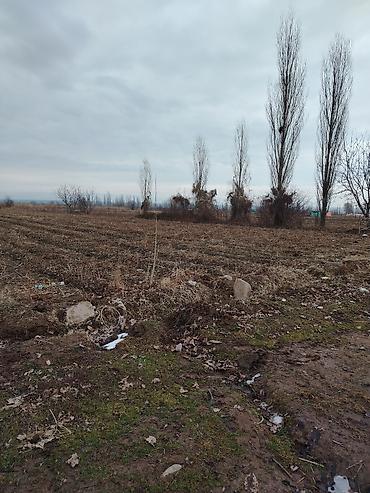 Продажа участков: 200 соток — 6