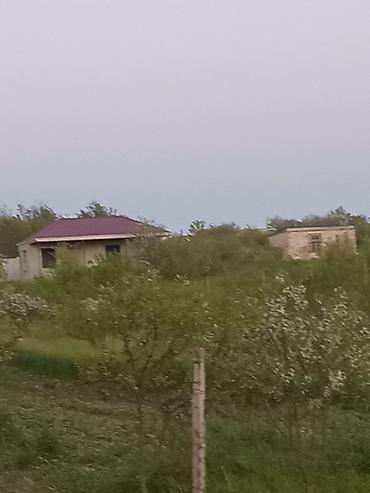 şağan torpaq: 6 sot, Tikinti, Mülkiyyətçi, Kupça (Çıxarış) — 6