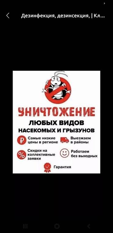 кел кел: Профессиональная дезинсекция и дератизация Что делаем - Уничтожение — 2
