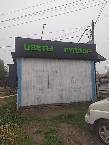 мясо с доставкой бишкек: Магазин «Цветы / Гүлдәр» Услуги и ассортимент: - Срезанные цветы и — 3