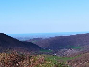 masazırda torpaq: 67 sot, Kənd təsərrüfatı, Kupça (Çıxarış)