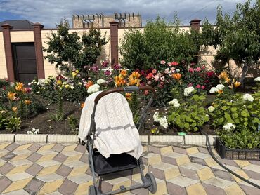 работа в пансионате с проживанием и питанием: Требуется Няня