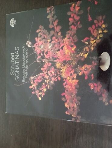 Виниловые пластинки: Виниловые пластинки — 22