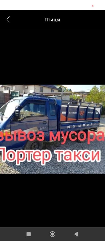 купить морской аквариум бу: Портер, Вывоз бытового мусора, По городу, с грузчиком