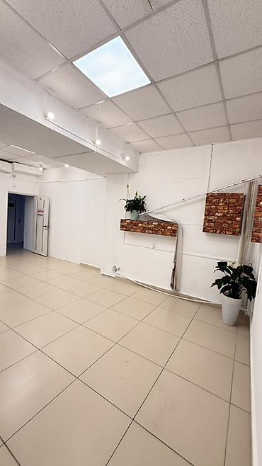 Аренда офисов, 30 м², В бизнес центре, 1 линия