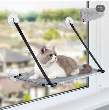 pişik pişik: Pəncərə üçün pişik yatağı – vakuumlu asma layt - Pəncərəyə yapışan 4