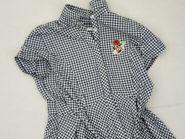 koszula w świnki makłowicz: Women`s dress, size M at lalafo.pl koszula w świnki makłowicz: Women`s dress, size M
