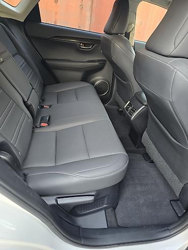 Lexus: Lexus NX: 2019 г., 2 л, Автомат, Бензин, Кроссовер — 11