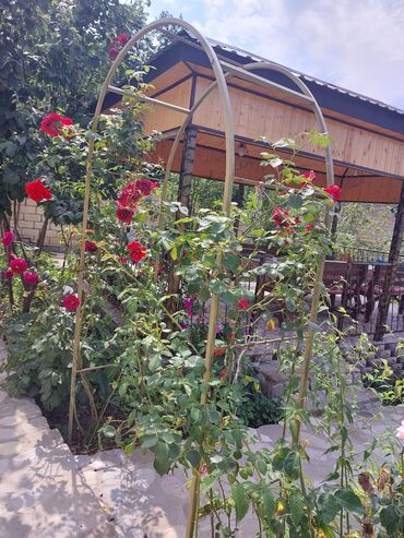 Bağ evlərinin kirayəsi: 110 kv. m, 3 otaqlı, İnternet, Qaz, Su — 9