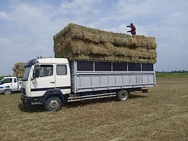 daf фура: Грузовик, Mercedes-Benz, Стандарт, 7 т, Б/у — 2