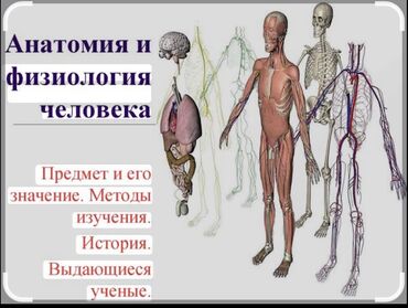 пишу лекции: Всем здравствуйте мы открываем группу офлайн, преподаем такие предметы