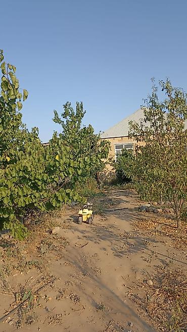 abyektler: 5 otaqlı, 100 kv. m, Yeni təmirli — 3