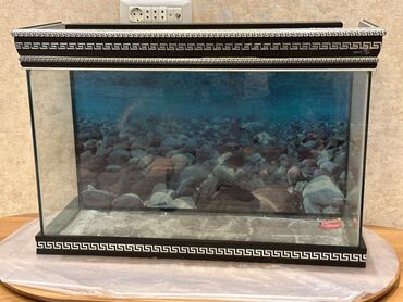 аквариум без рыб: Akvarium satılır. Sağlam vəziyyətdə üstündə bəzi aparatlarda verilir