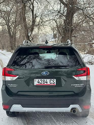 Subaru: Subaru Forester: 2023 г., 2.5 л, Автомат, Бензин, Кроссовер — 2