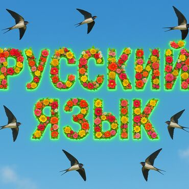 мастер по кондиционеру: Подготовка к начальной школе и дошкольников, Российский, Онлайн, дистанционное, Индивидуальное, С выездом на дом