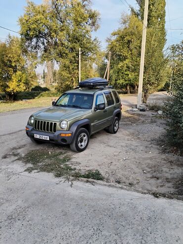 машина стрим: Jeep Liberty: 2004 г., 2.4 л, Механика, Бензин, Внедорожник