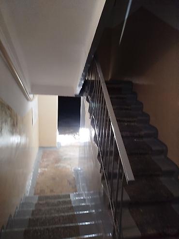 Покраска: Покраска подъездов и лестничных клеток под ключ Касметика Крыши — 4