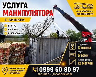 Жаанын 12 м, 3 т., Борттун 5 кг