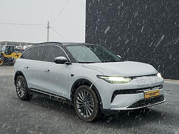 Другие детали салона: Электромобиль LEAPMOTOR — интерьер и мультимедиа премиум-класса — 3