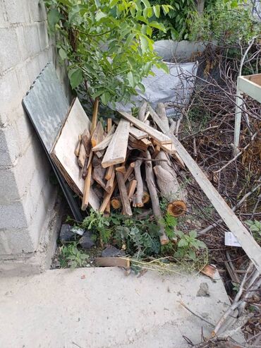 Спил деревьев, заготовка дров: Пилю деревья цена индивидуально! Пилю дровабревна 1500 - с/куб — 4