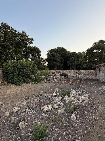 Torpaq sahələrinin satışı: Kənd təsərrüfatı, Mülkiyyətçi -da lalafo.az — 4 Torpaq sahələrinin satışı: Kənd təsərrüfatı, Mülkiyyətçi — 4