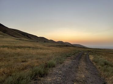 Сельхоз предприятия: Продаю Кошара, 50 соток, Действующий, Без оборудования, Электричество — 27