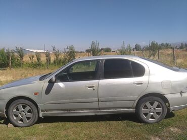 nissan gtr 34: Nissan Primera: 2001 г., 1.6 л, Механика, Газ, Седан