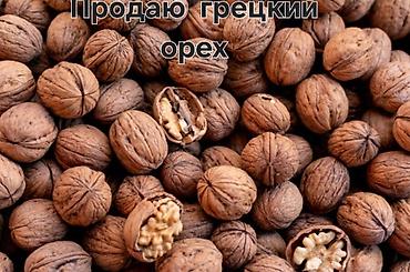 часы 3d: Продаю грецкий орех
Цена 200с — 1