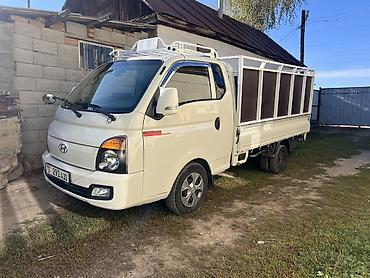 портер ош прадаю: Легкий грузовик, Hyundai, Стандарт, 3 т, Новый — 1
