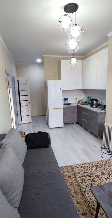 1 комнатная квартиры: 1 комната, Собственник, Без подселения, С мебелью полностью