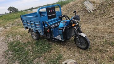 електро трицикл: Мотороллер муравей Электро, 60 км, 600 - 999 кг, Б/у
