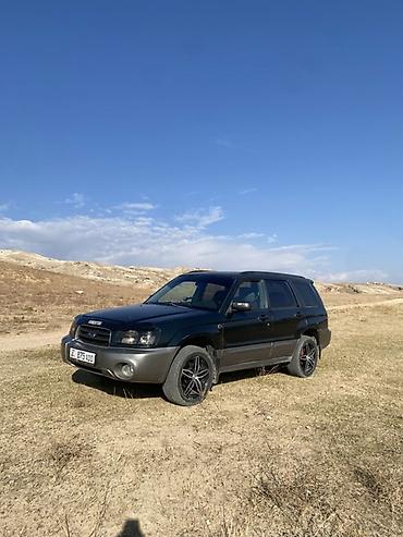срв 2012: Subaru Forester: 2004 г., 2 л, Автомат, Бензин, Универсал — 4
