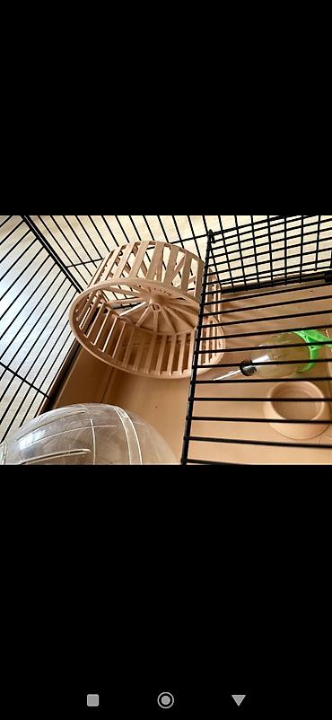 вместе дешевле: Домик для хомяка 🐹 (клетка) 4-этажа можете собрать как вам угодно — 4