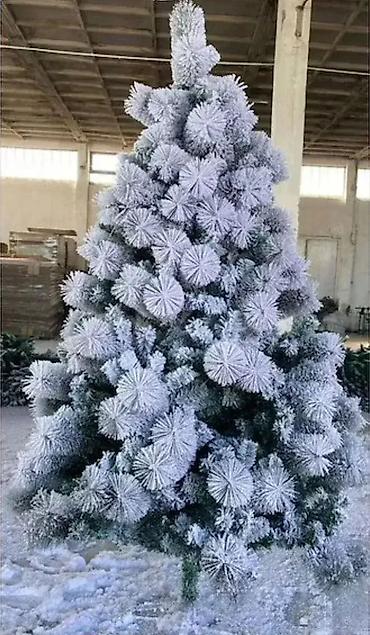 dormeo podloga: Velika novogodišnja jelka S4ra 🎄 Unesite praznični duh u svoj dom sa — 1