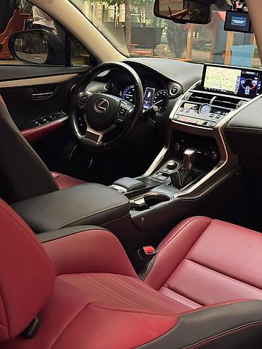 200: Lexus NX: 2020 г., Гибрид, Кроссовер — 10