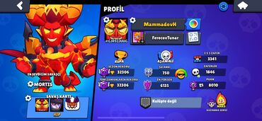 ворота для дома: Brawl Stars hesabı – yüksək statlarla dolu profil - Profil adı
