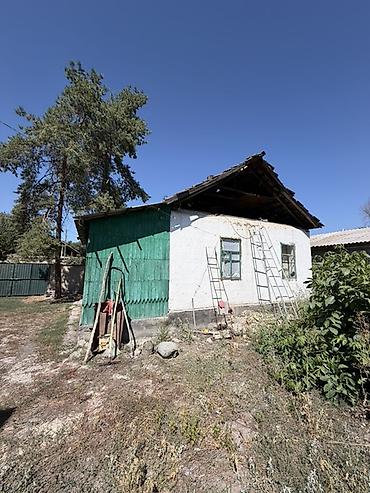 Продажа коттеджей и домов: 4 комнаты, 58 м², 29 соток, Петровка, Риэлтор — 11