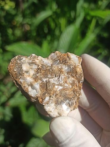 cib saatı: Milyon İllik Tarixi Fosil 💎 Daşlaşmış Ağac ( Petrified Wood ) 🪵 ✨ Bu — 3