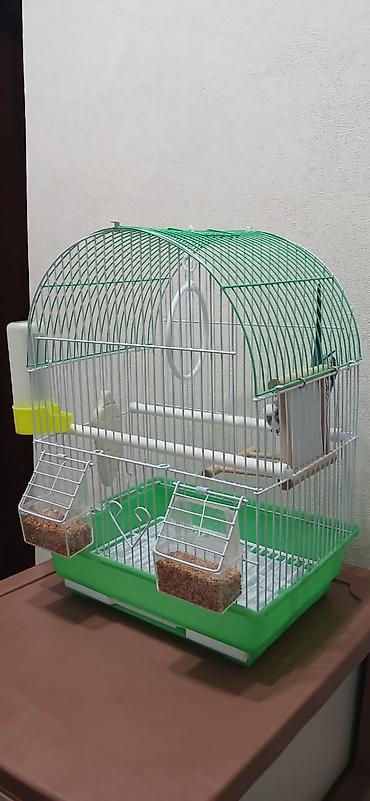 Зоотовары: Продается попугай, волнистый, самец, в подарок пакет корма. Клетка для — 5
