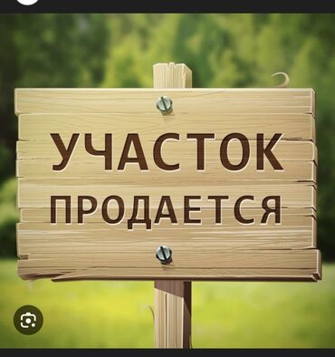 ак туз: 4 соток, Курулуш, Кызыл китеп, Техпаспорт, Сатып алуу-сатуу келишими