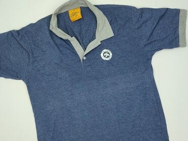 sweter w paski c: Polo shirt for men, L (EU 40), condition - Very good