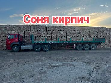 Пустотелый, дырчатый, Жженый кирпич, Полублок, 250×120×90