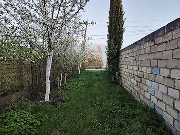 Torpaq sahələrinin satışı: 7 sot, Tikinti, Mülkiyyətçi, Kupça (Çıxarış) — 15