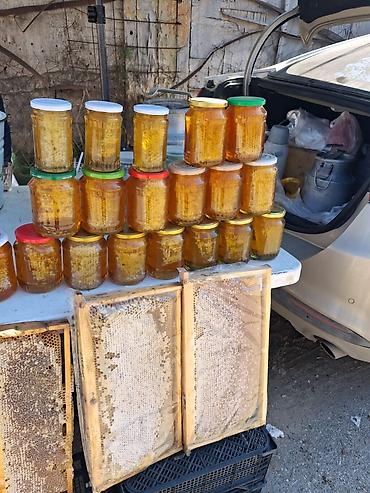 oazis su: Kəlbəcər balı. Təbii arı məhsulları – süzülməmiş bal və şan balı - — 1