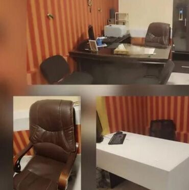 zeytun agaci satilir: Hamisi birlikde 350 azn satilir‼️unvan ehmedli l5764 sekine
