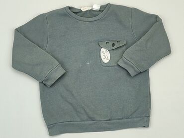 Bluzy i Sweterki: Bluza, Zara, 3-4 lat, 98-104 cm, stan - Dobry