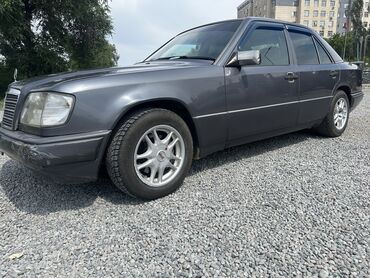 Mercedes-Benz: Mercedes-Benz 220: 1994 г., 2 л, Механика, Бензин, Седан