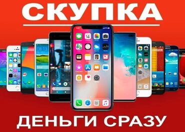 Apple iPhone: IPhone 16 Plus