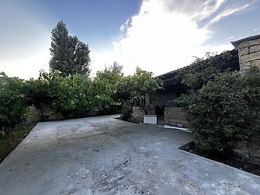 heyet evleri type 1: Həyətyanı ev – geniş beton örtüklü həyət, meyvə və üzüm tənəkləri ilə — 1