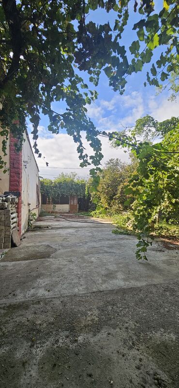 Torpaq sahələrinin satışı: 48 sot, Kənd təsərrüfatı, Kupça (Çıxarış) — 22